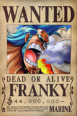 Franky-wanted - recompensele echipei palarie de paie