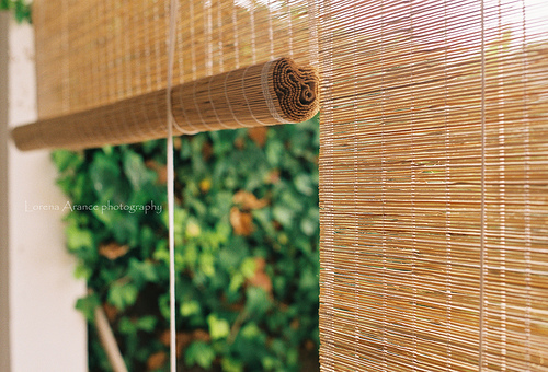 tumblr_ktkskvmcot1qzeh8no1_500