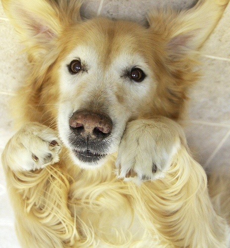 tumblr_ktkxaoj1oc1qzeh8no1_500