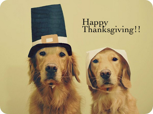 tumblr_ktojaovQdU1qzeh8no1_r1_500