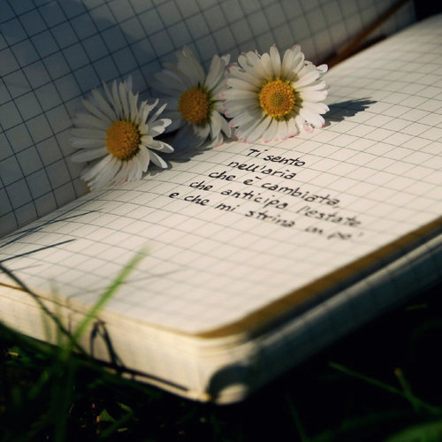 tumblr_ktqg3wVvsG1qzeh8no1_500 - 0 A magic world 1