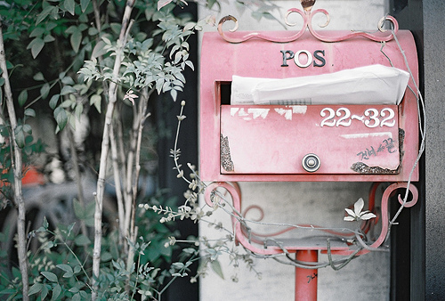 tumblr_ktqi21lr7q1qzevelo1_500