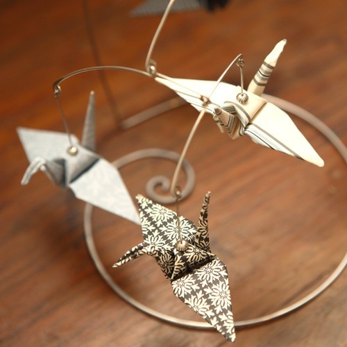 tumblr_ktzlg7HPx41qzeh8no1_500