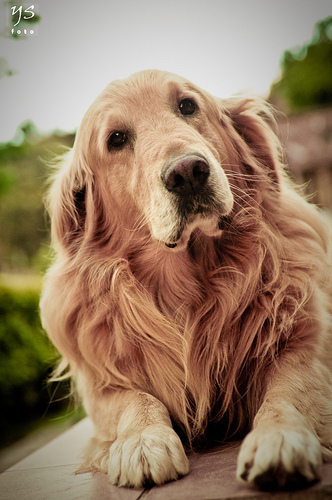 tumblr_ku20fogGl51qzeh8no1_400