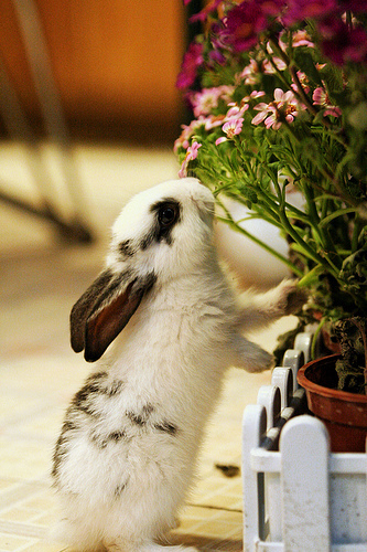 tumblr_ku59j50UX21qzeh8no1_400