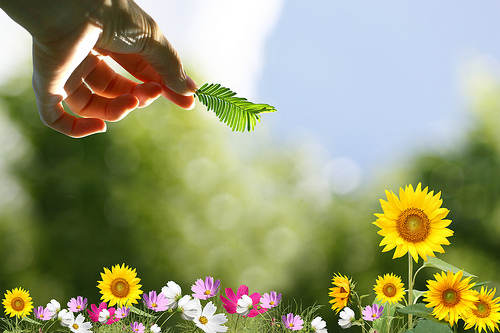 tumblr_ku75cv2ua11qzeh8no1_500