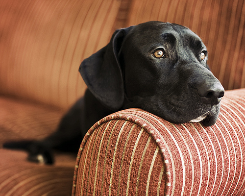 tumblr_kuarh7ngLH1qzeh8no1_500