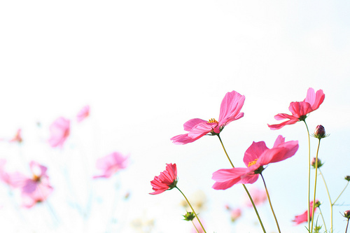 tumblr_kudk9zxVpJ1qzeh8no1_500