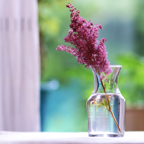 tumblr_kv4e5wyltr1qzeh8no1_500 tumblr_kv4e5wyltr1qzeh8no1_500