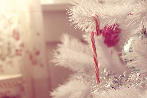 tumblr_kv6flh97Jd1qzeh8no1_500 tumblr_kv6flh97Jd1qzeh8no1_500