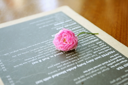 tumblr_kv776t48Dp1qzeh8no1_500 tumblr_kv776t48Dp1qzeh8no1_500