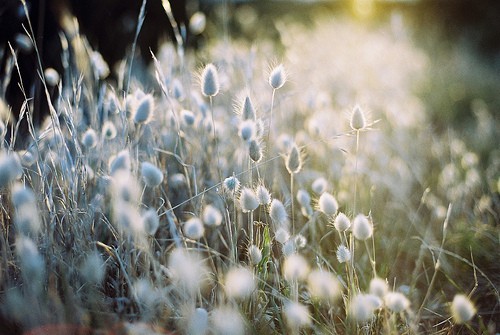 tumblr_kvn0d2rYAz1qzeh8no1_500 tumblr_kvn0d2rYAz1qzeh8no1_500