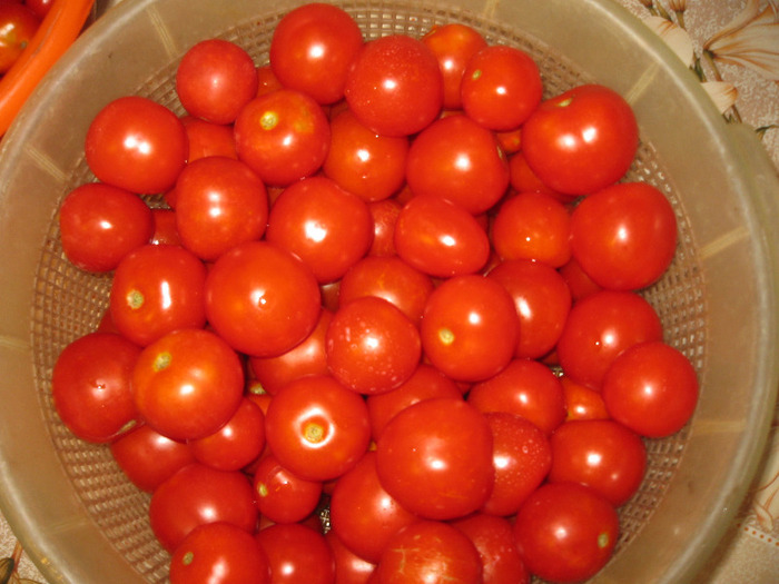 Alt soi de rosii cherry,aug.2011