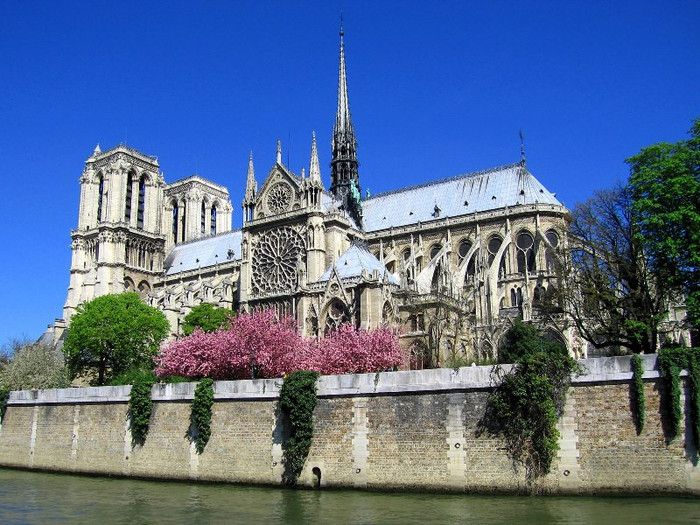 Notre-Dame-din-Paris - pt admitere scoala supervedeta