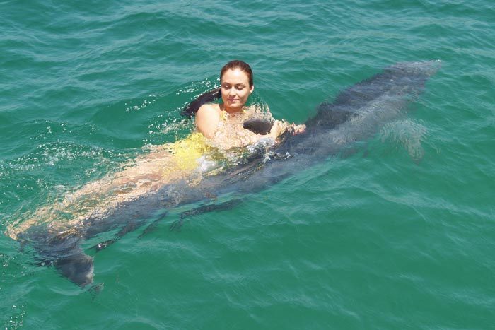 Ceyda - Sufletelul meu - x - Ceyda inotand cu un delfin