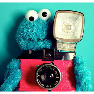 x.Cookie Monster xxxxxxxx