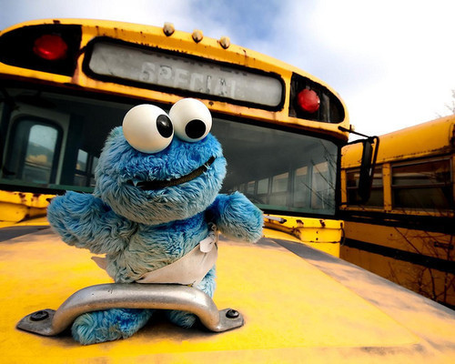 x.Cookie Monster xxxxxxxx