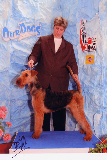 Airedale Terrier; Rodica la expo
