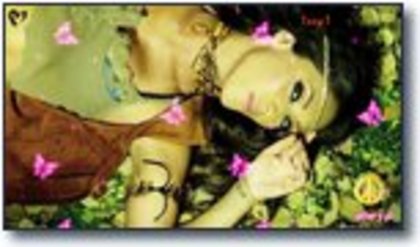 2-31any1-4899_th - Copy - Copy