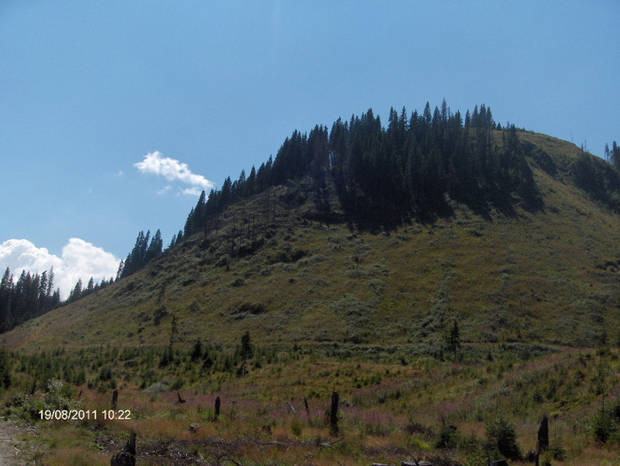 HPIM6152 - Transalpina-19 august 2011
