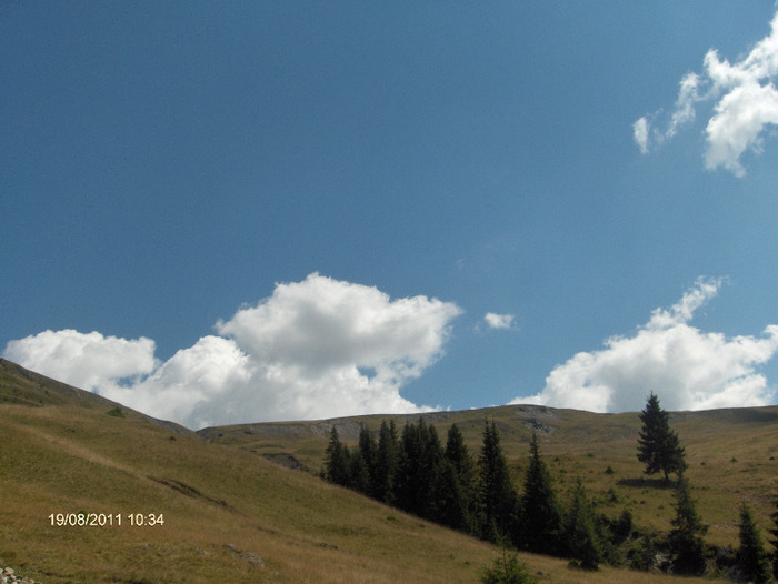HPIM6161 - Transalpina-19 august 2011