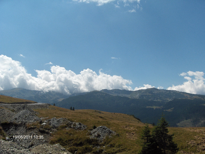 HPIM6162 - Transalpina-19 august 2011