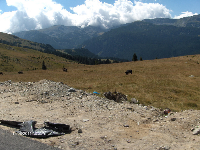 HPIM6163 - Transalpina-19 august 2011