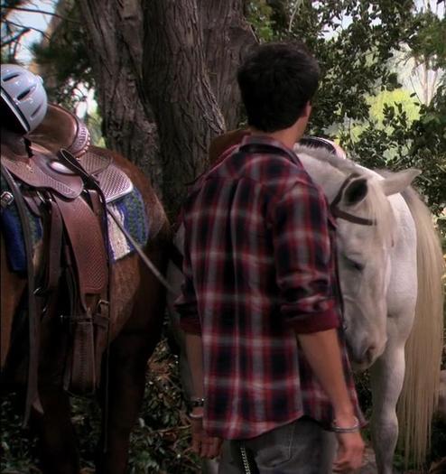 Lasa-ma in pace! - oo4