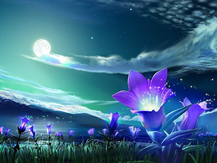 Bell_Flowers_-_Windows_7_Wallpaper - Peisaje