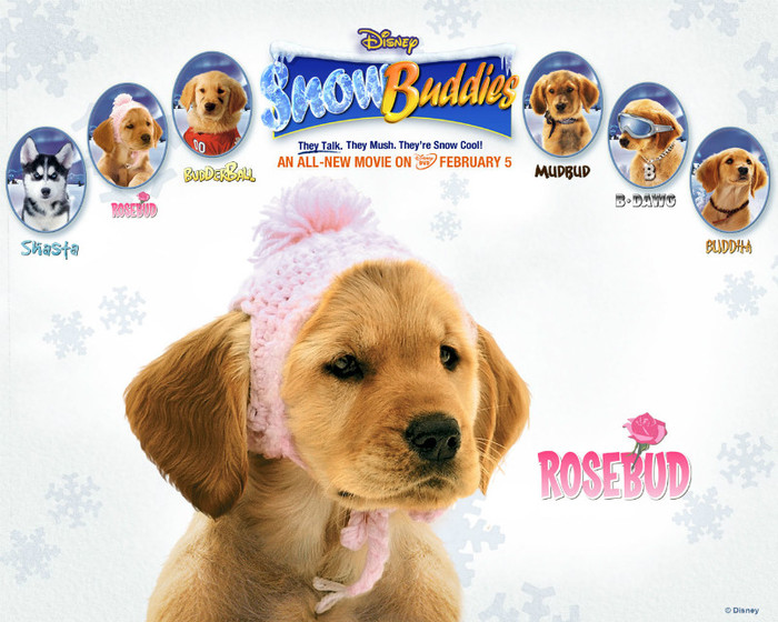 snow_buddies_rosebud
