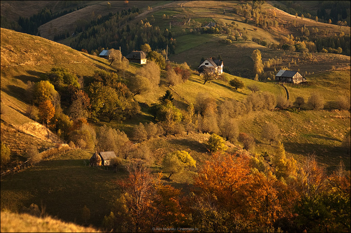 sirnea-toamna - toamna