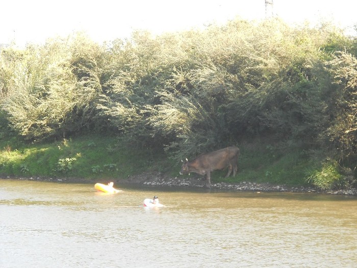  - baie de soare si nu numai