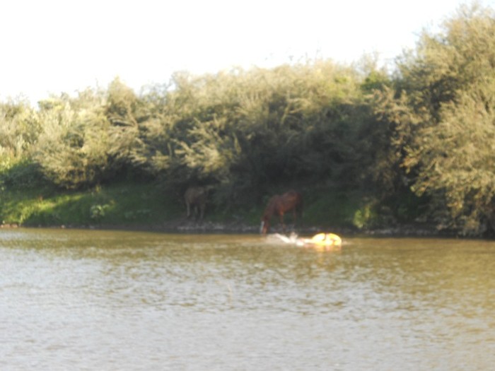  - baie de soare si nu numai