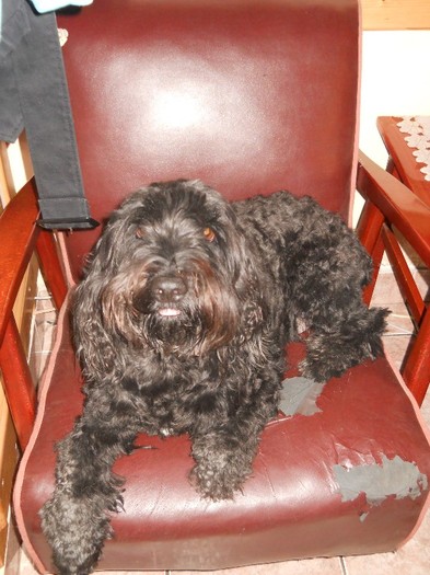 rezultatul pedichiurii deficitare