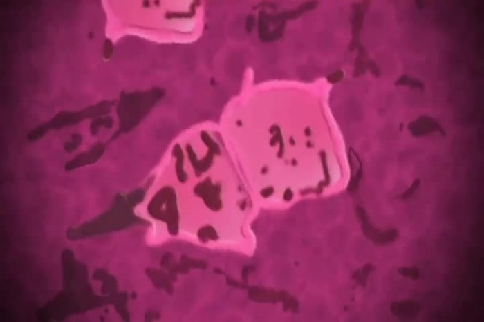 Anahi___Dividida_209 - Dividida