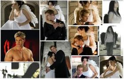 images (12)