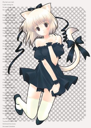 n53569841586_1904909_6542 - NEKO-GIRLS