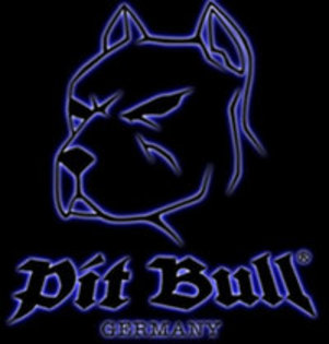 Pittbull black - z-poze caini tip bull