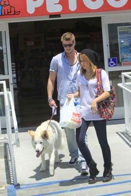 normal_002 - Shopping at Petco with Liam and Mate in Los Angeles