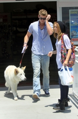 normal_007 - Shopping at Petco with Liam and Mate in Los Angeles