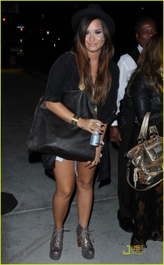 demi-lovato-katy-perry-concert-01