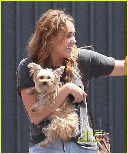 miley-cyrus-twitter-2-million-01 - disney 6