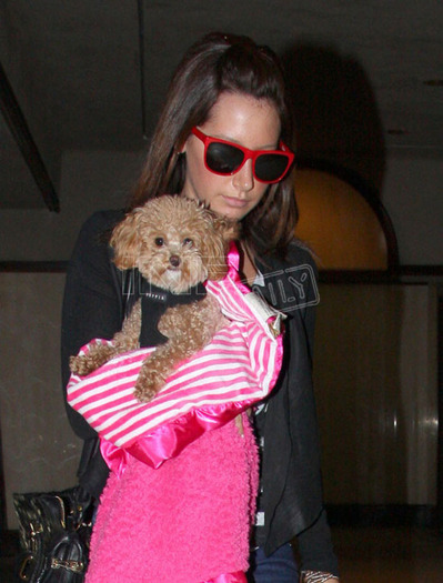 largemsg122851201254qp6