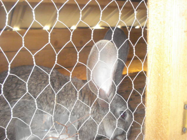 DSC08721