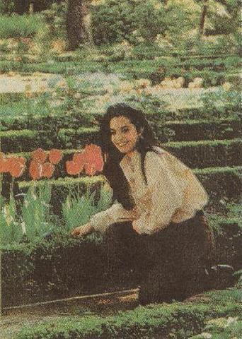 95d64df - Coraima Torres