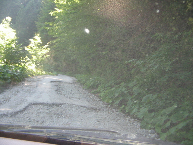 IMG_5405; Acelaşi drum, pe parcursul a 18km până la Stâna de Vale.
