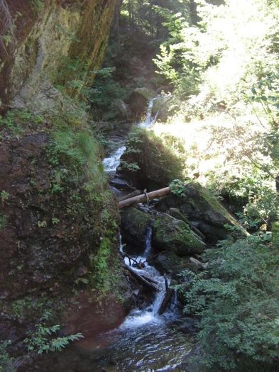 IMG_5411; Cascada Săritoarea Ieduţului, vizibilă de pe marginea drumului.
