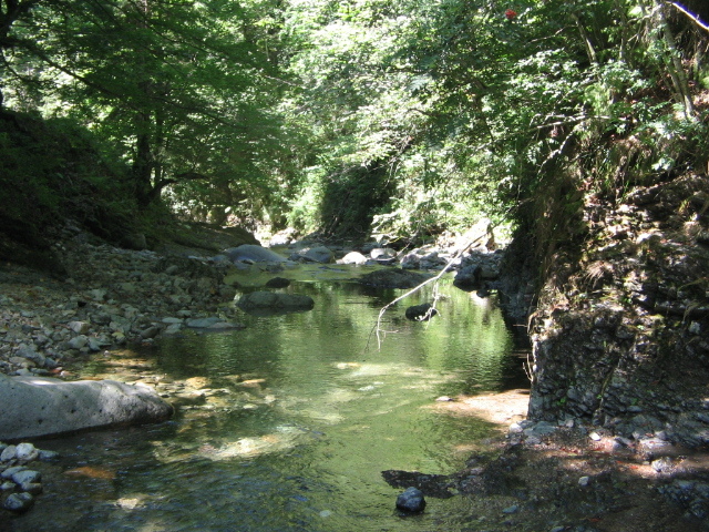 IMG_5435; Valea Iadului, la cascada Vălul Miresei.
