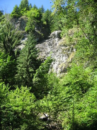 IMG_5458; Cascada Miss
