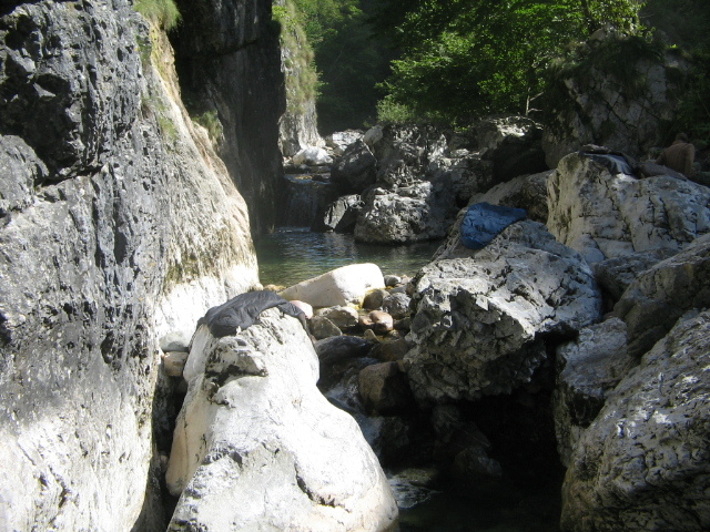 IMG_5511; Crişul Pietros
